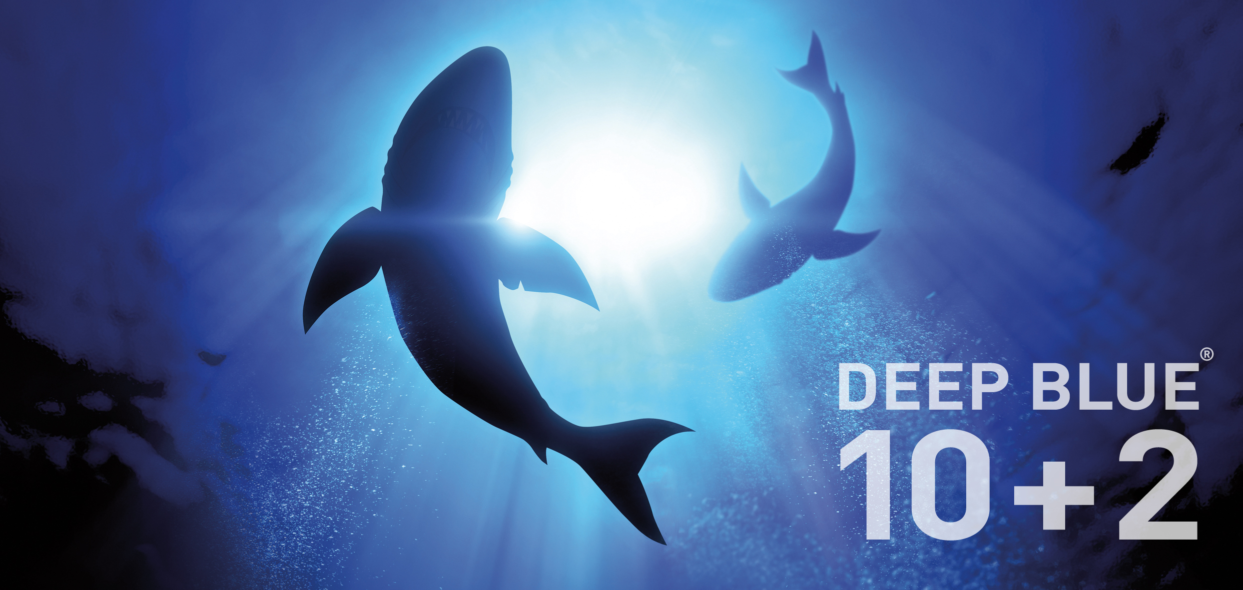 Produktfoto der Deep Blue 10 plus 2 Aktion