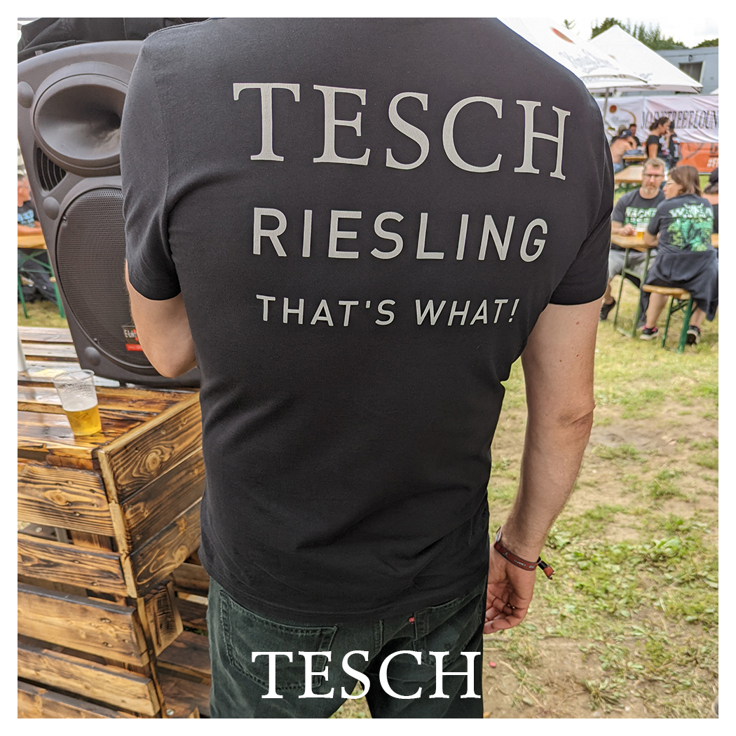 T-Shirt TEsch what?