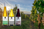 WEINLESEPAKET
